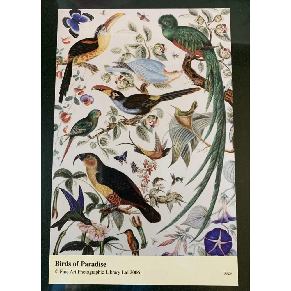 Wentworth Wooden Jigsaw Puzzle Bird’s of Paradise 500  Pieces Brand New Sealed